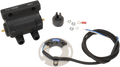 DYNATEK Dual-Fire Ignition Switch - '70-'03 FL/FX/XL DSK6-1